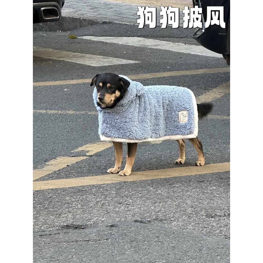 Capa quente para cachorro, capa para passeio de animais de estimação, forro de lã de inverno, roupas para cachorro, gato