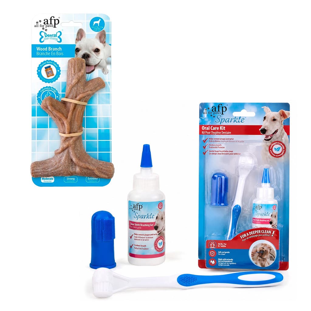 Osso Mordedor Limpeza de dente e Pasta Enzimática para Cães