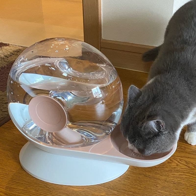 [Venda quente] Dispensador de água para gatos e caracol, desconectado, água potável para cães, alimentação automática, g