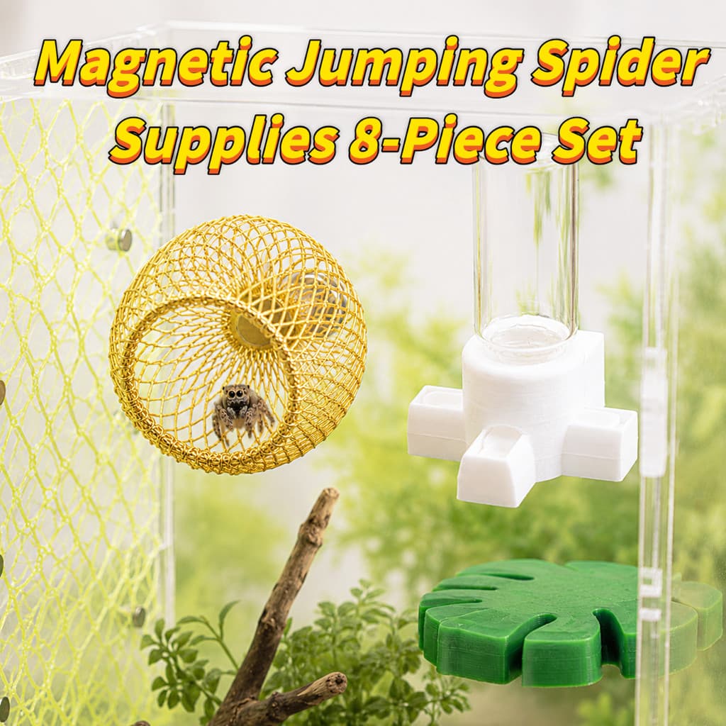 Kit de 8 Peças para Répteis e Aranhas Saltadoras: Abrigo de Folhas, Ponte de Corda, Balanço e Bebedouro para Terrário