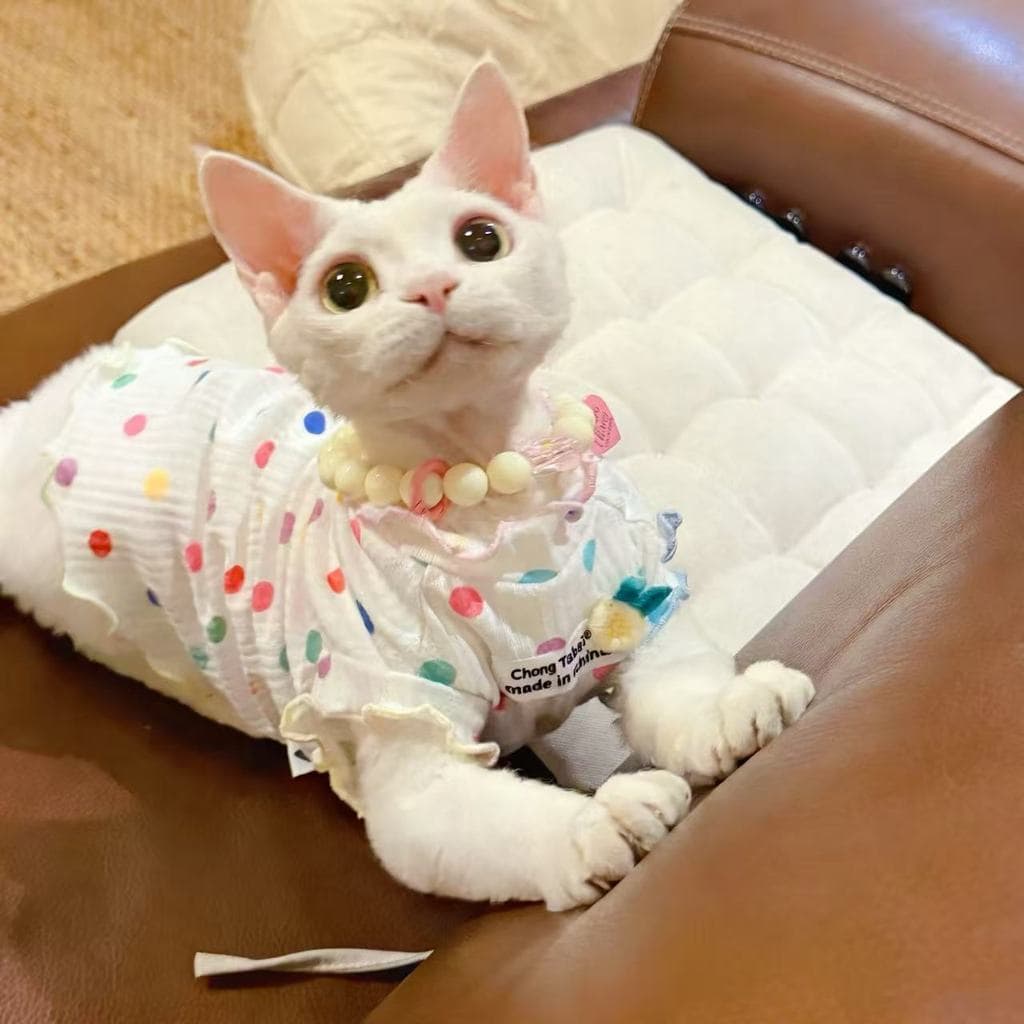 Roupa para Gatos Primavera/Verão, Sem Mangas, com Bolinhas Arco-Íris, Fina e Respirável, para Gatos Devon Rex e Slim Sho