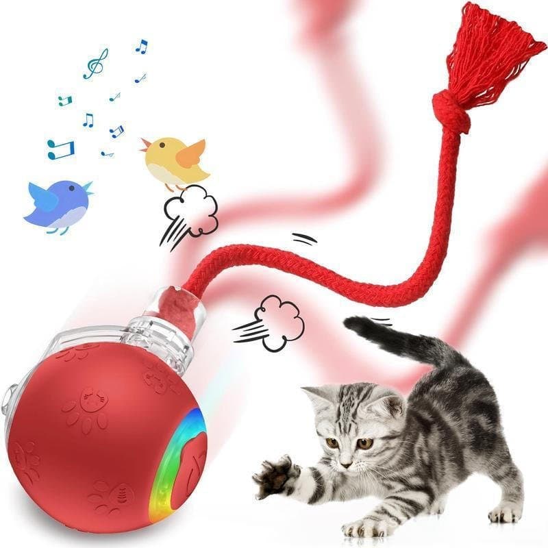 Brinquedos para gatos de interior, brinquedos interativos para gatos, carregamento USB, brinquedo de bola para gatos que