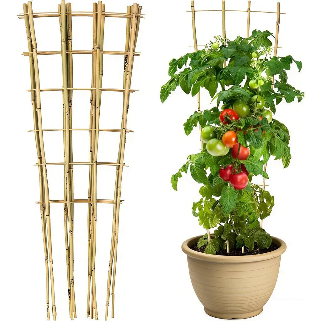 Conjunto de 3 Treliças de Bambu Natural de 4,8 Pés, Treliça em Forma de Leque para Plantas Trepadeiras, Vegetais, Pepino