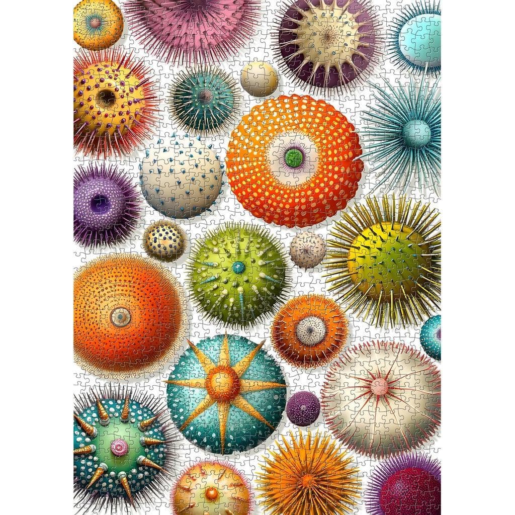 Quebra-cabeça colorido de ouriço do mar para adultos, 1.000 peças, quebra-cabeça de praia oceânica, quebra-cabeça de de