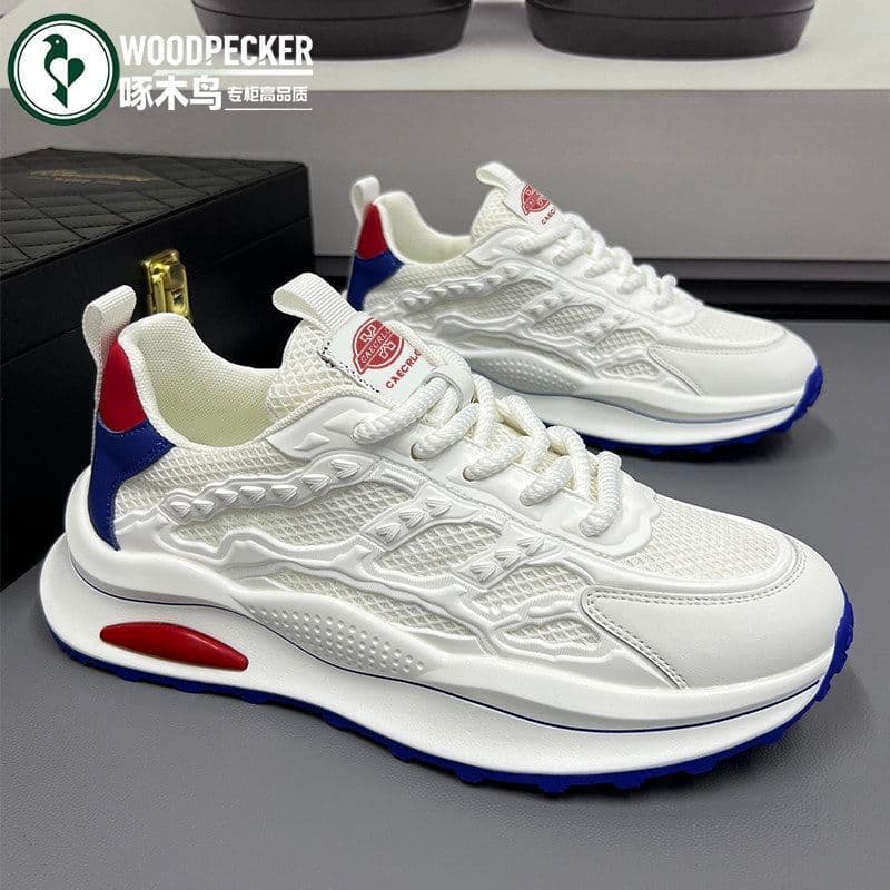 2026 Novo produto envio rápido pica-pau sapatos masculinos 2026 outono malha respirável sola grossa sapatos papai aumen