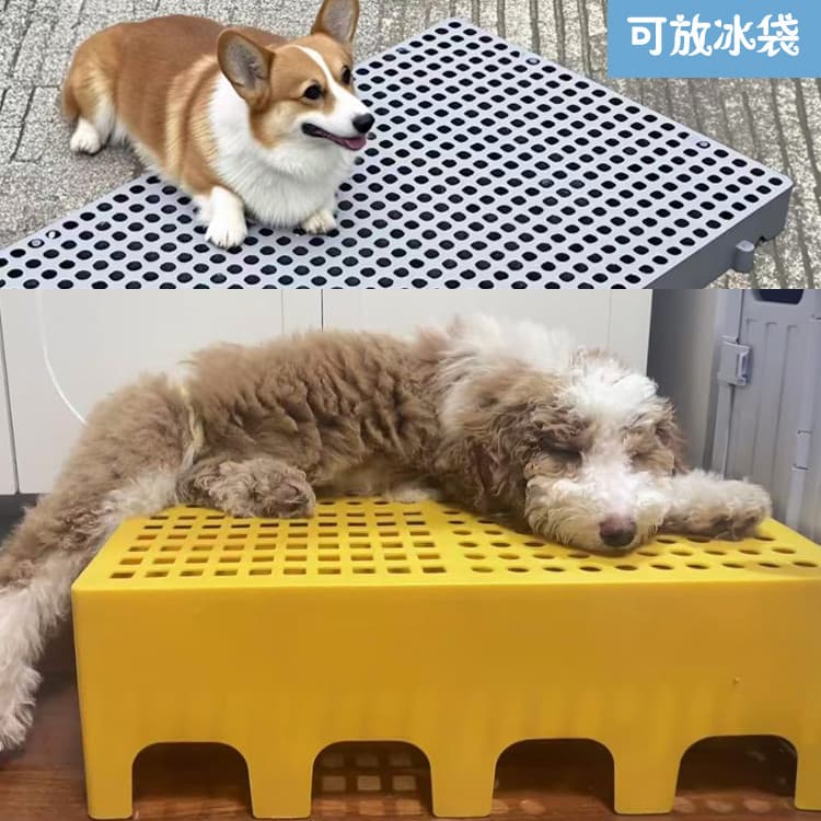 Cama legal para cachorro, cama para gato, gato, cama para animais de estimação, verão, plástico, resfriamento, à prova d