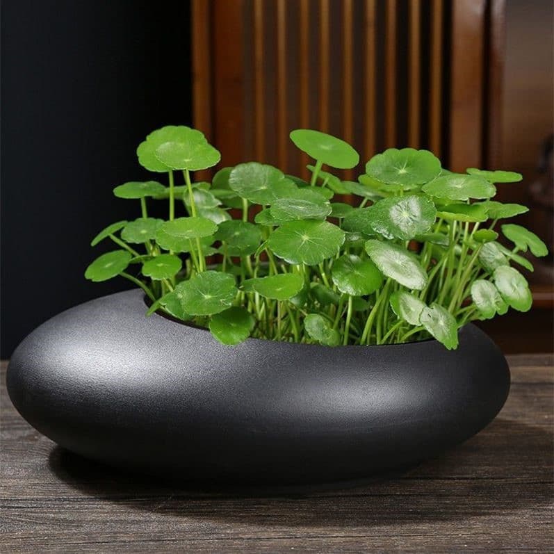 Jingdezhen cerâmica tanque de peixes Retro decoração Desktop Feng Shui sorte peixinho tanque tartaruga água lírio lótus