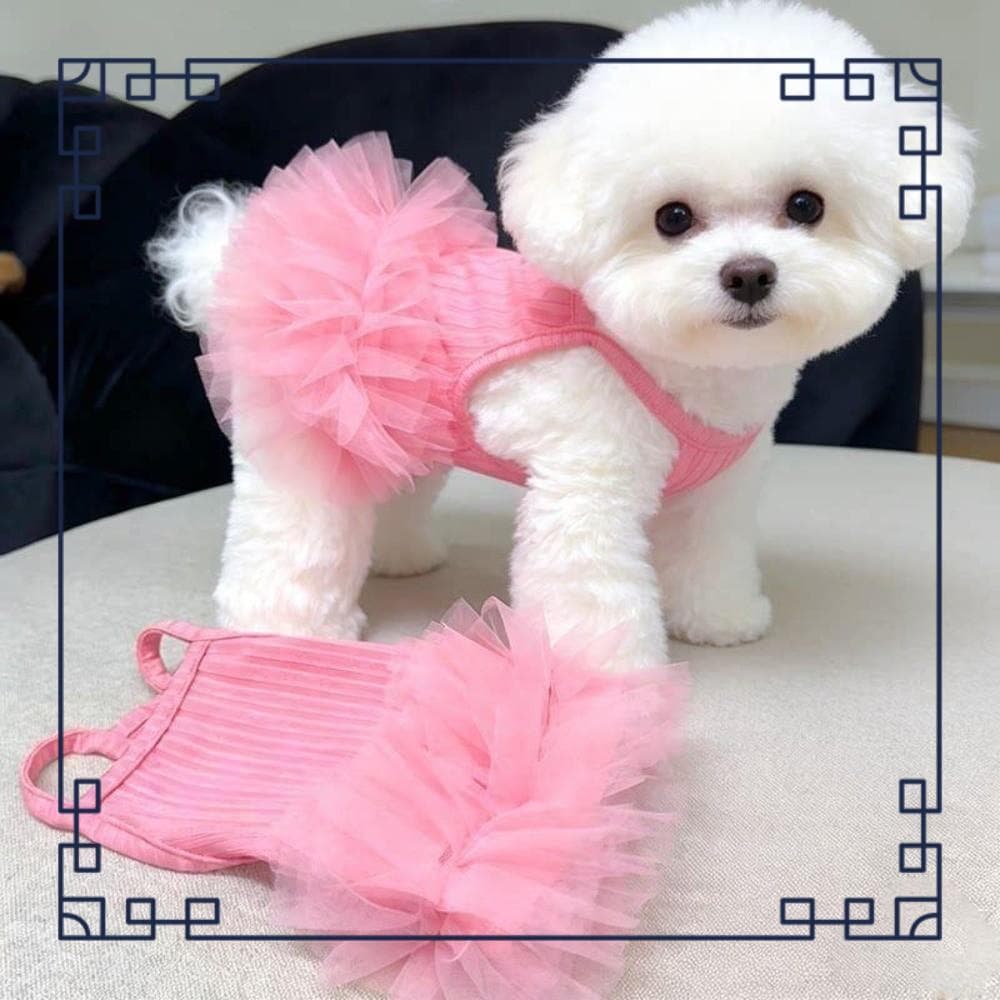 Vestido Deslizante Para Cachorro , De Princesa Animais De Estimação De Verão Com Bainha De Renda , Roupas De Pelú