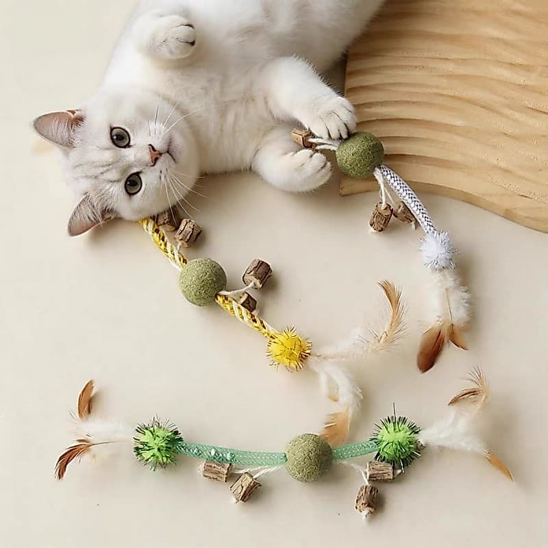 Brinquedo de Corda c/ Penas e Esferas p/ Gatos – Resistente a Mordidas, Auto-Diversão – Envio Nacional