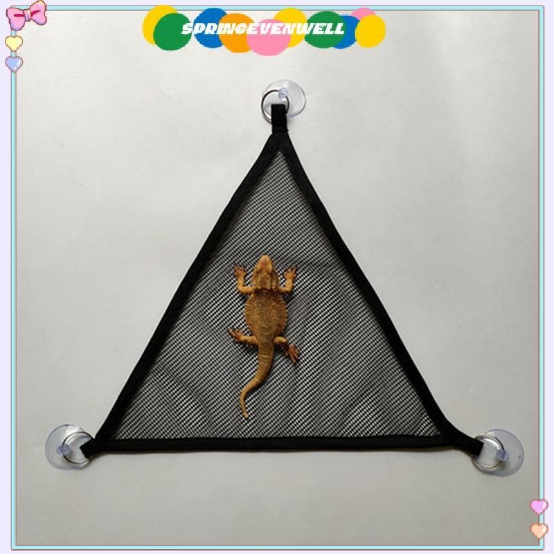 [springevenwell] Acessórios De Espreguiçadeira Para Répteis Hammo Grandes Dragões Barbudos Pequenos Anole Geos Lagartos