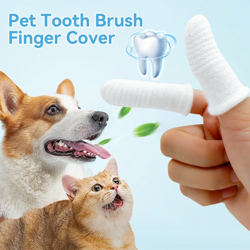 Escova de dois dedos para cães e gatos, ferramenta de limpeza oral para dentes de filhotes, acessórios e suprimentos par