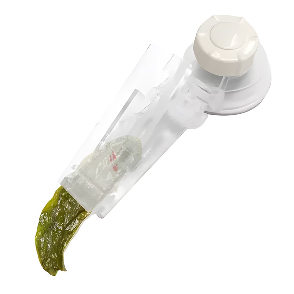 Prendedor Clip Ventosa Algas Alimentos Peixes Aquário 11cm