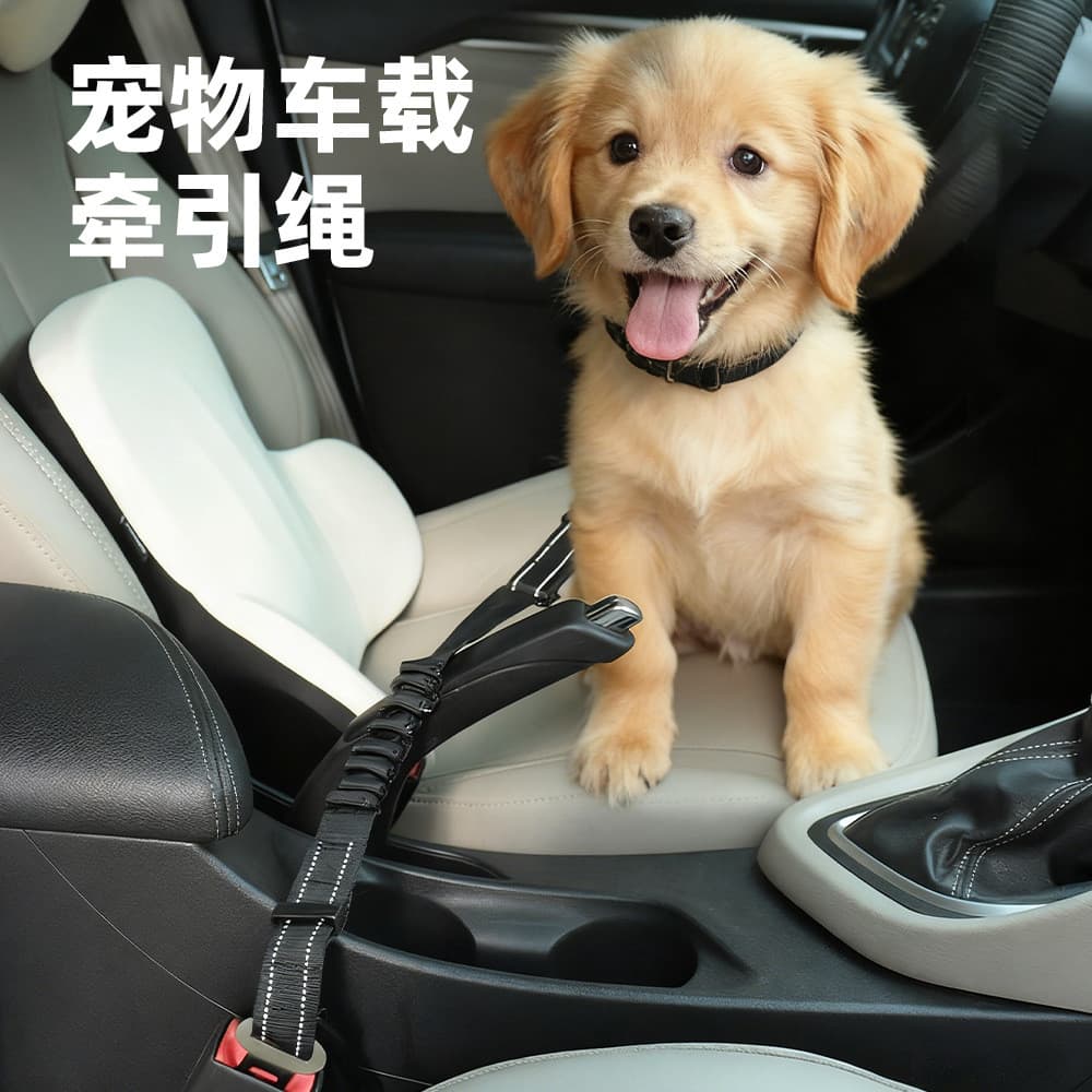 Cinto de segurança para cães, coleira para carro, cinto de segurança para animais de estimação, Anti-quebra, elástico, g