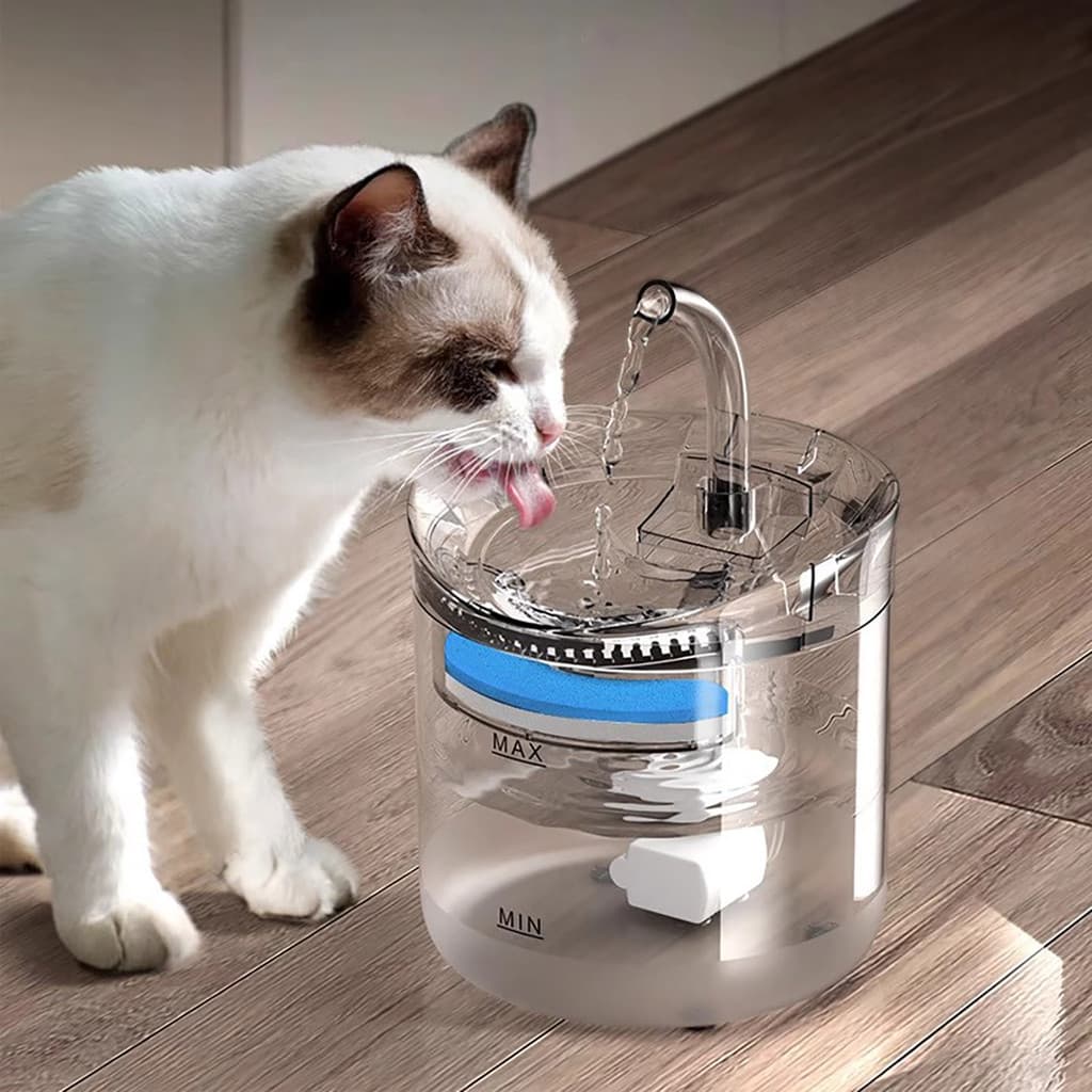Dispensador de água para gatos, água viva, inteligente, fonte potável para animais de estimação, fluxo desconectado, gat