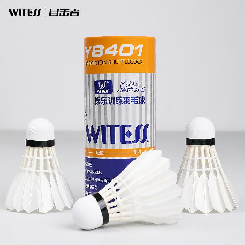 WITESS Badminton durável rei YA401 pato pena bola de treinamento dedicado durável 6 peças versão branca 3 peças pacote