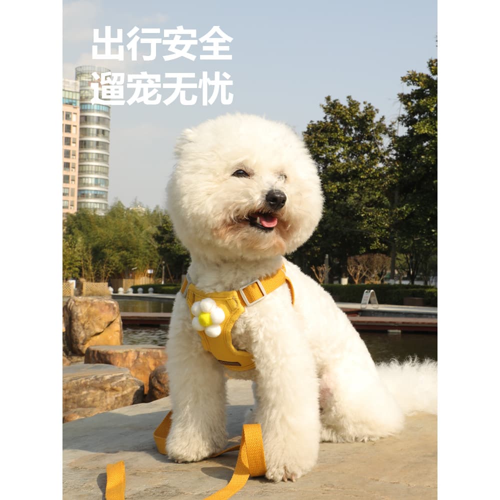 Coleira tipo colete para cachorro, tipo colete Anti-quebra, alça peitoral para cachorro pequeno, pelúcia, Bichon, pomerâ