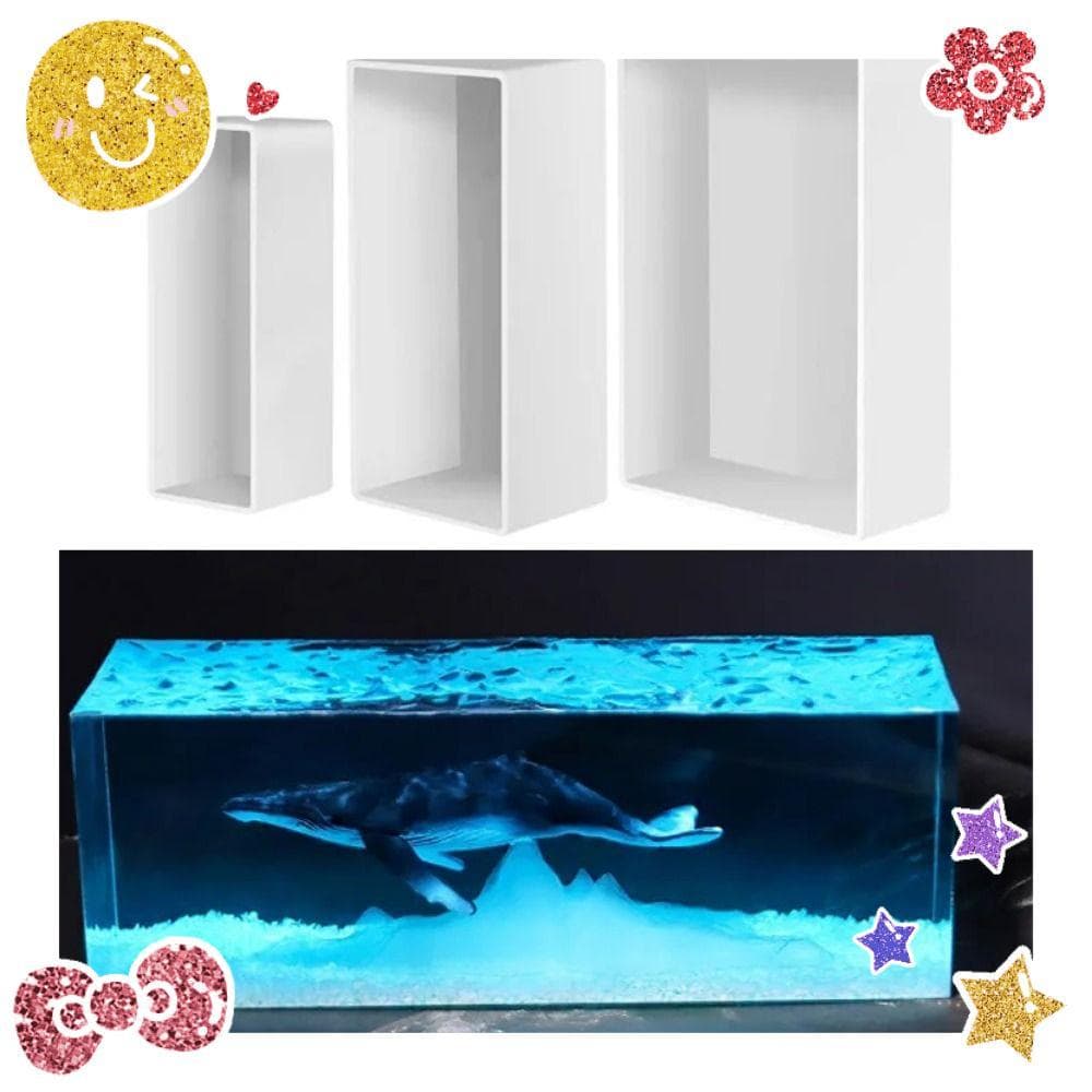 Moldes De Silicone  , Retangulares De Cubo Cubóide DIY , Preservando Amostras De Insetos De Flores
