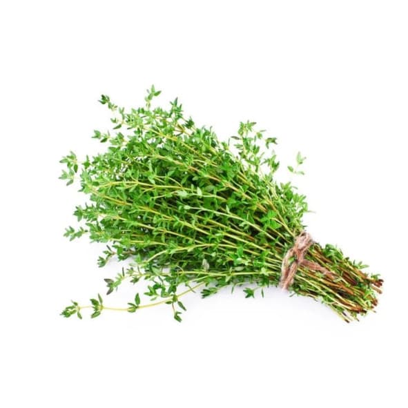 Sementes Premium de Tomilho Timo (3600 sementes) p/ horta Alta Germinação