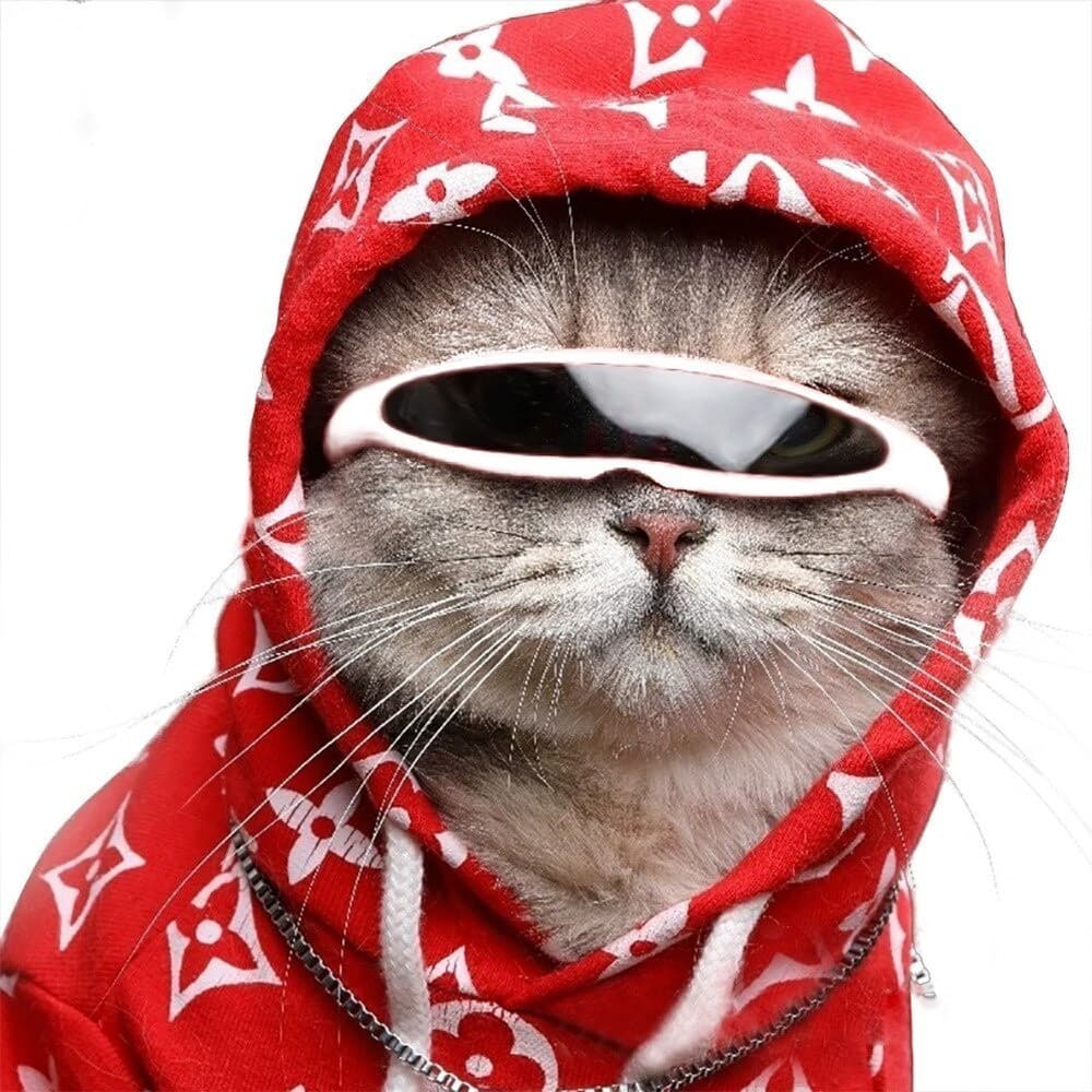 Óculos Para Animais De Estimação Gato De Sol Engraçado Foto Ferramenta Personalidade Criativa Plástico À Prova De Vento