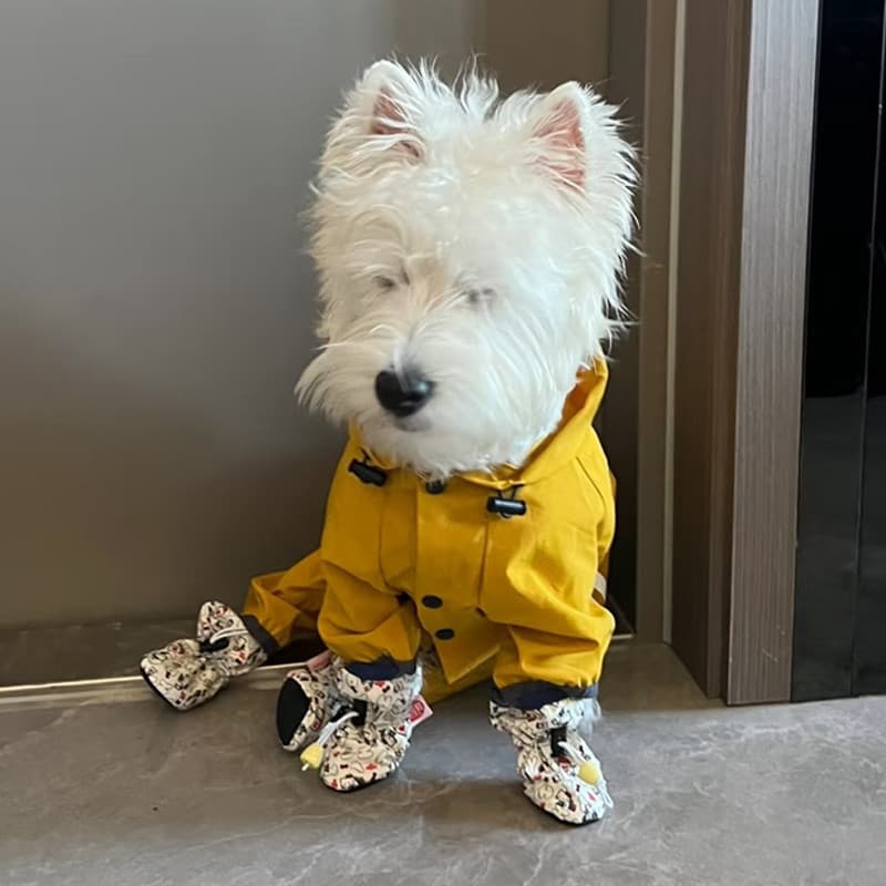 West Highland White Terrier sapatos dedicados sola macia não pode jogar filhotes para fora Anti-sujo pé capa sapato cães