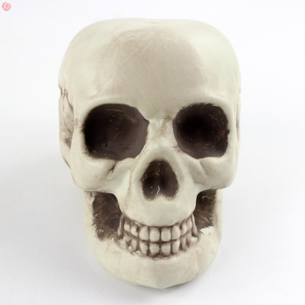 Decoração De Réplica De Caveira De Halloween-Modelo De Cabeça Esquelética Humana Para Festa Assustadora