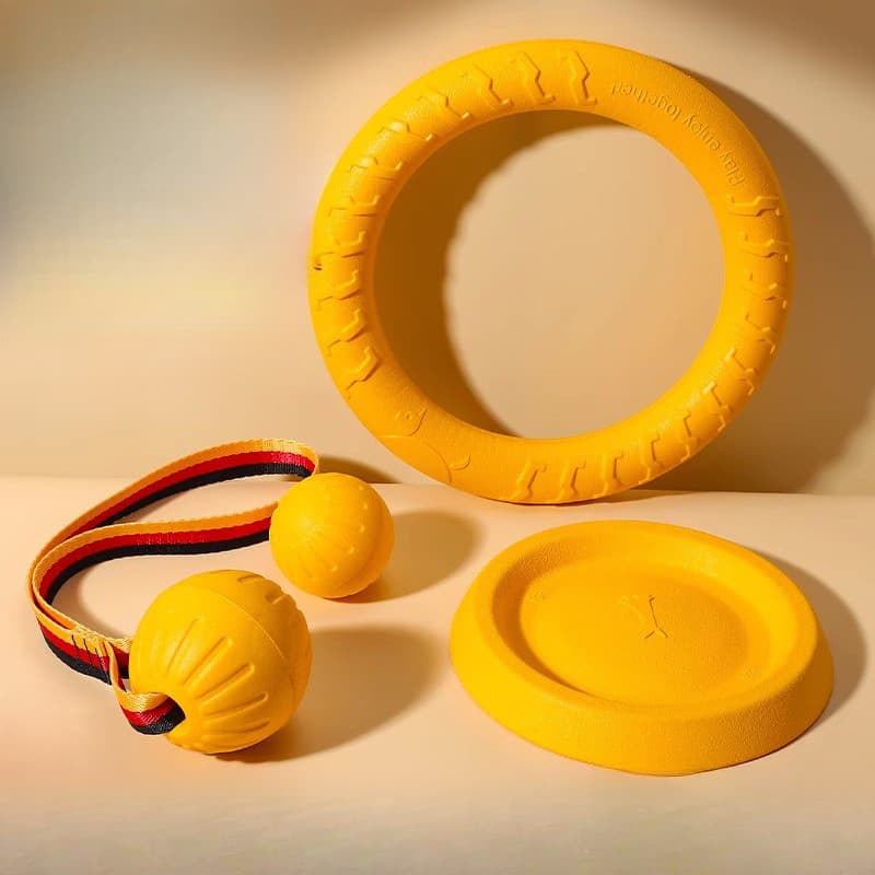 Conjunto de brinquedos para cães, resistente à mordida de EVA, anel para treinamento de molares, Frisbee, conjunto compl
