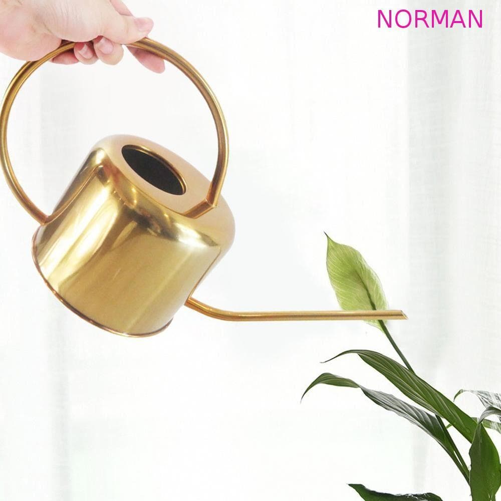 Regador NORMAN , Confortável De Bico Longo De Grande Capacidade , Pote De Rega À Prova De Vazamento Ferrugem De 1.3L