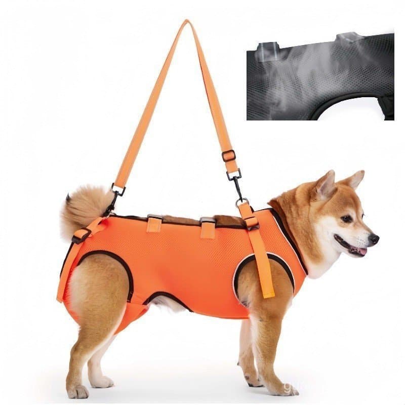 Roupas De Reabilitação Para Cães Idosos Leves E Respiráveis Auxiliares Cachorro Com Deficiência Saindo Cinto Auxiliar Ob