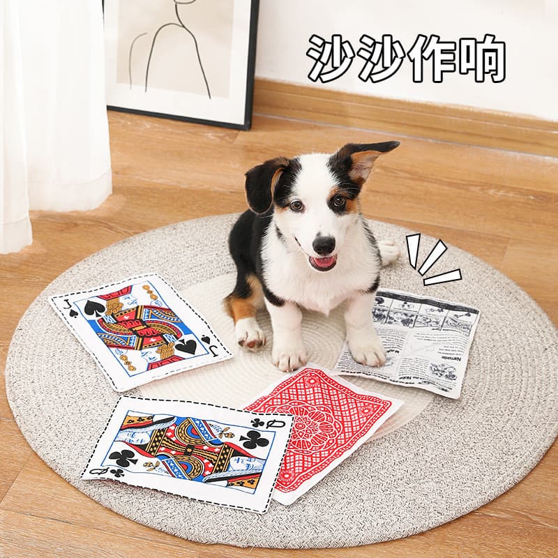 Cão soando brinquedo som papel jornal Poker pequeno cão de tamanho médio resistente à mordida Molar dentes limpeza provo