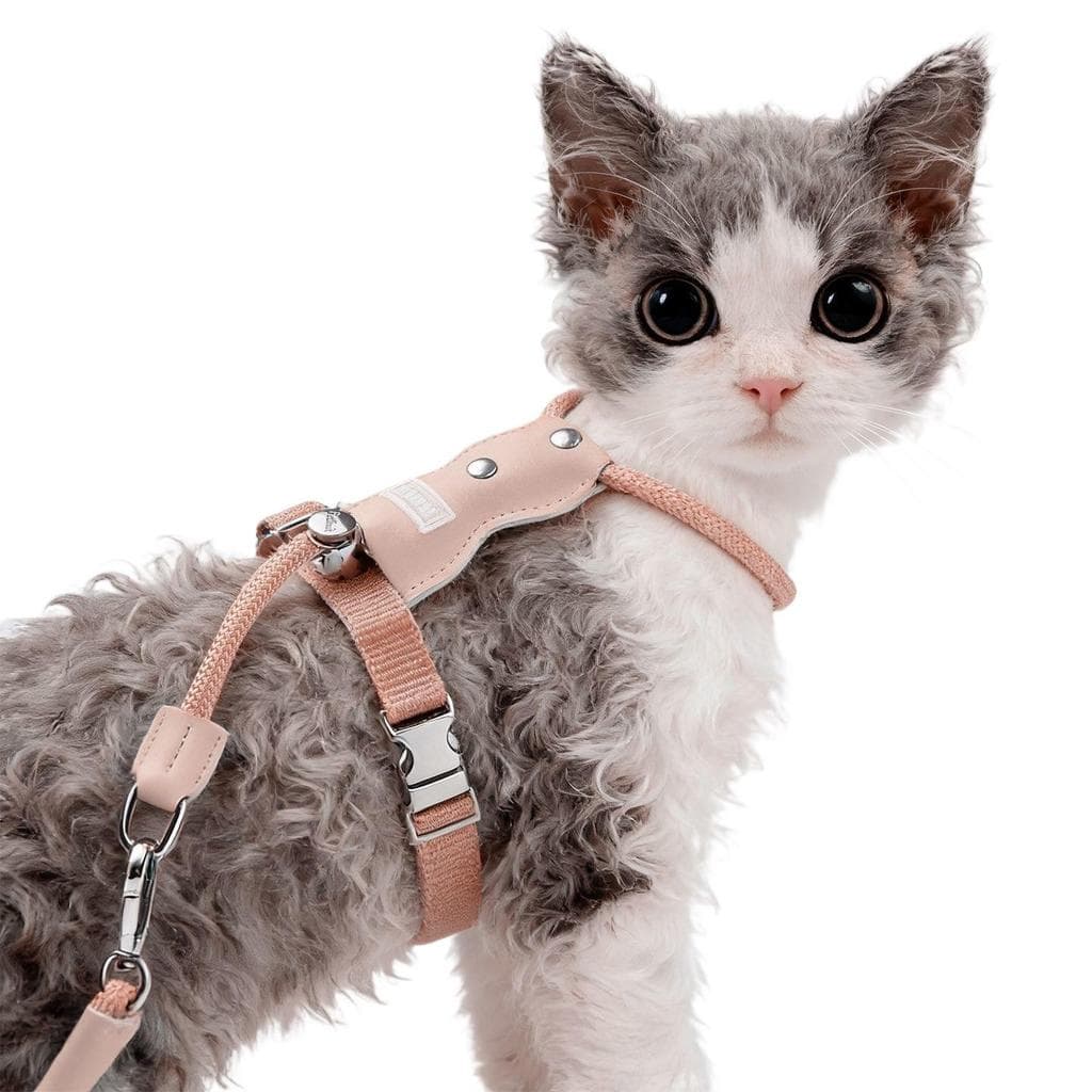 Gatinho passeio dedicado gato em forma de I gato andando cinta peitoral corda de tração evitar avanço pescoço Str