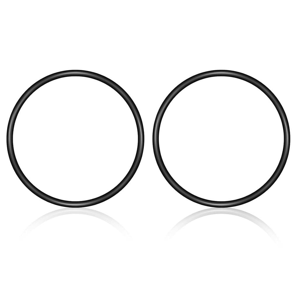 (2-Pack) O-Ring R0694100 para Clorador TruClear (True Clear) da Série Jandy Pro da Zodiac, Peça de Substituição Compatív