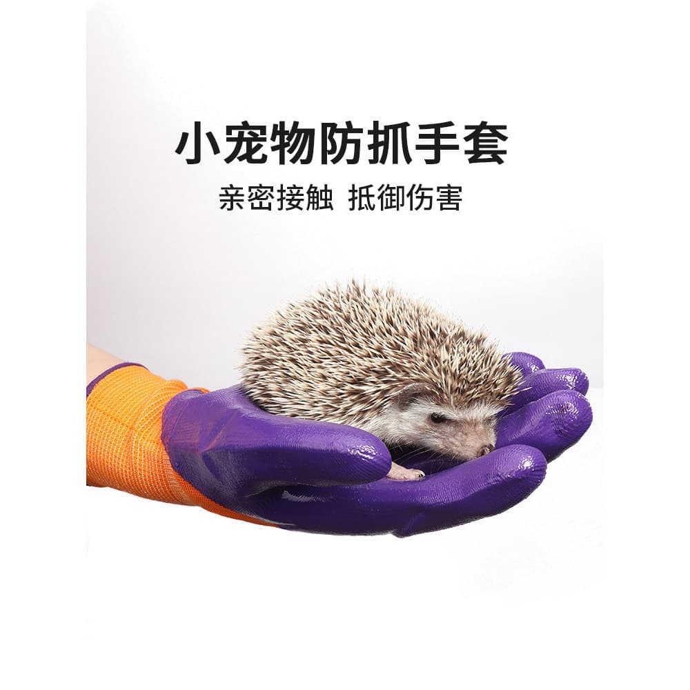 Luvas de ouriço à prova de facadas anti-beliscão ouriço Hamster cobaia flor ramo Mouse brinquedo suprimentos interativos