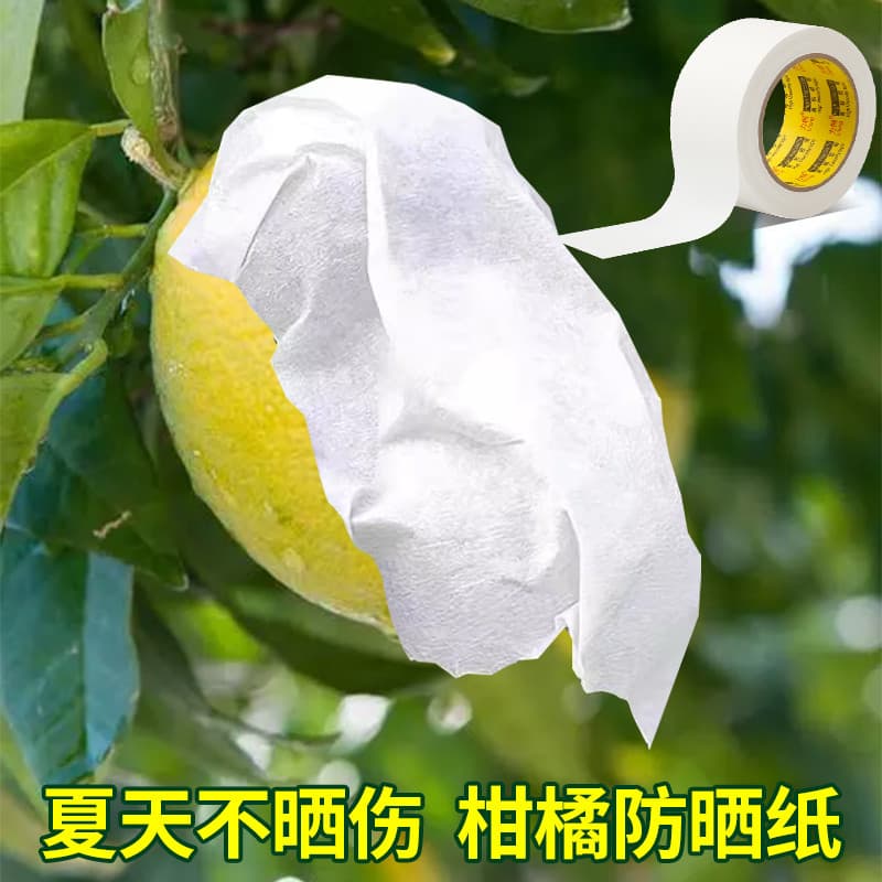 Protetor solar respirável de frutas Fita adesiva dedicada Protetor solar Lesão Anti-rachaduras Frutas Cítricas Umbilical