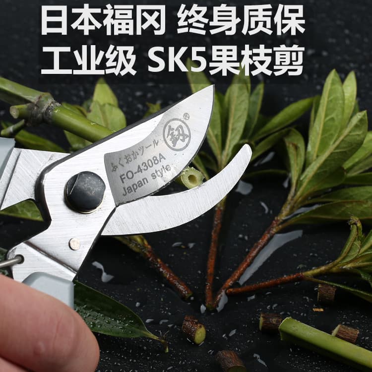 Tesoura de jardinagem japonesa para árvores frutíferas, tesoura para flores, galhos grossos, poda de galhos, economia de
