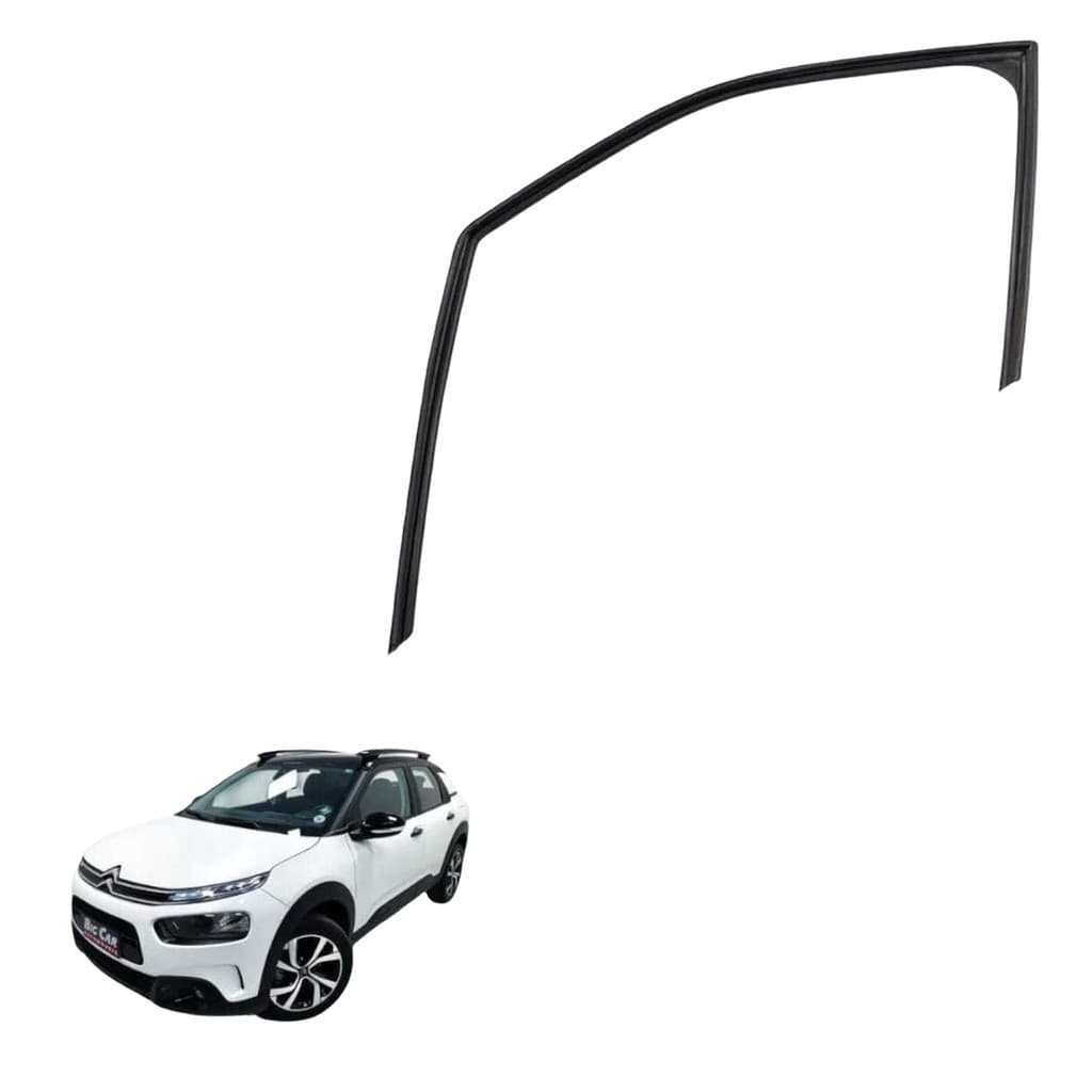 Canaleta Vidro Dian Esque C4 Cactus 2021 Original