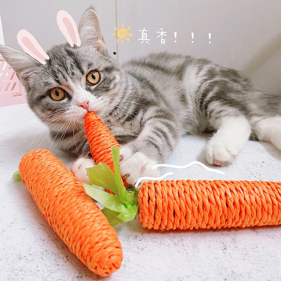 Corda de cânhamo de papel cenoura moagem dentes coçar brinquedo do gato cenoura gato brinquedo gato provocando gato vara