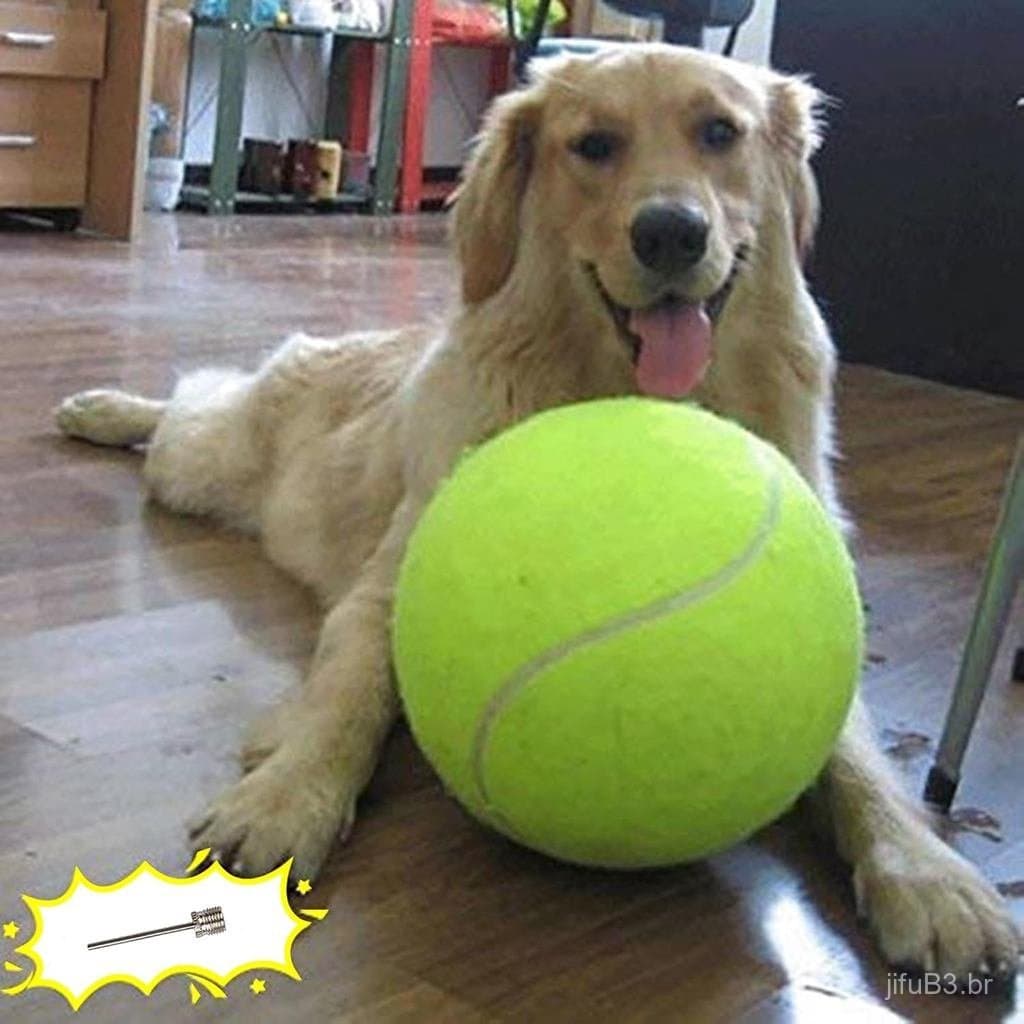Bola De Tênis Grande Banfeng Para Cães , Brinquedo Gigante Presente Esportes Ao Ar Livre Pequenos , Médios E Grandes (Am