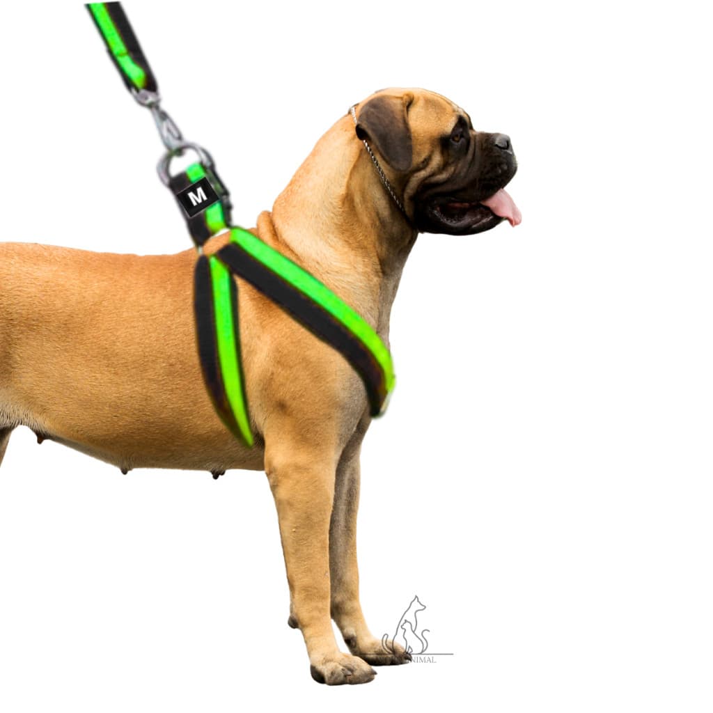 Coleira Peitoral Cachorro Conjunto De Guia + Coleira Tipo Peitoral Para Pet Pequeno Médio e Grande