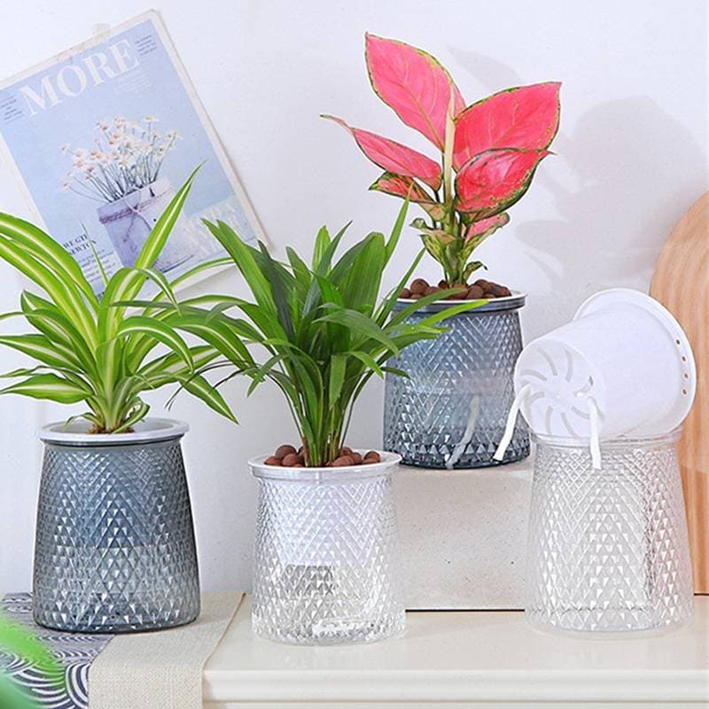 FINGE Vaso De Flores Com Rega Automática , Plantas Hidropônicas Internas , Suculento , Mini Vasos De Planta , Mesa , Bon