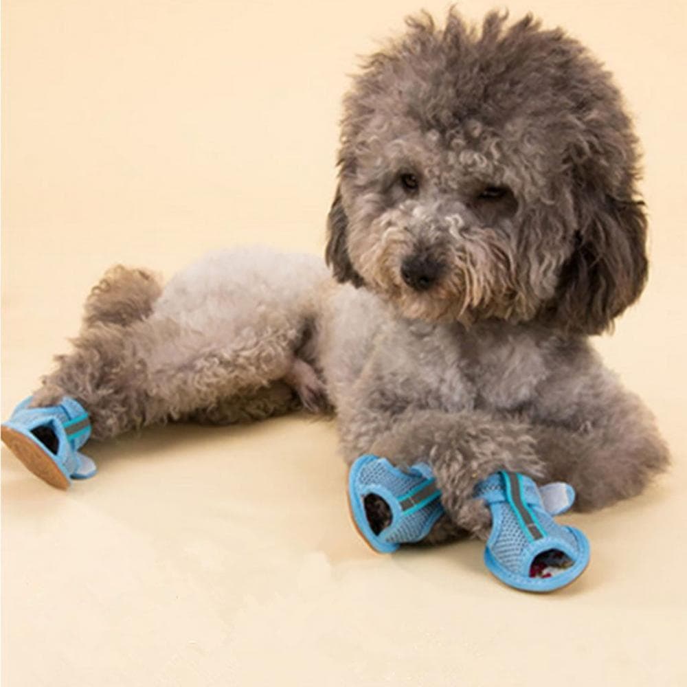 Sapatos Para Cães 4 Unidades/Pacote Primavera Verão Desgaste Ao Ar Livre Estilo Casual Sandálias Respiráveis Animais De