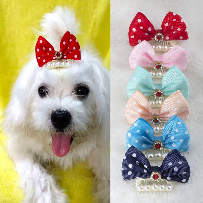 Presilha Laço Poá com Pérola e Strass para Pet, Acessório Cachorro Maltês Shih Tzu Yorkshire para Penteado e Fotos