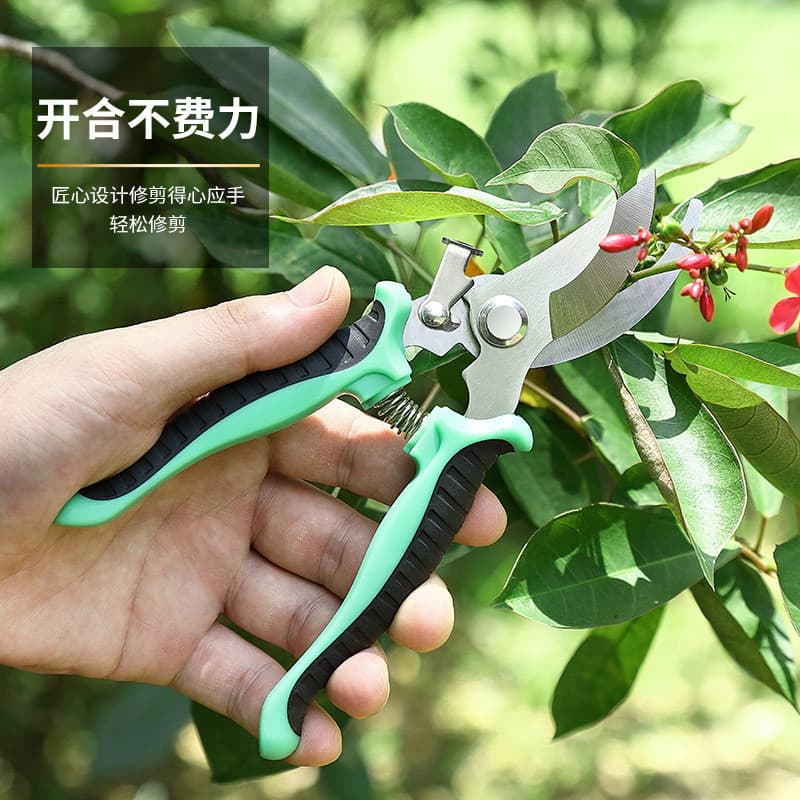 Tesoura de jardinagem de ramos Tesoura especial de flores Tesouras de poda de jardim Tesouras de colheita de frutas Teso