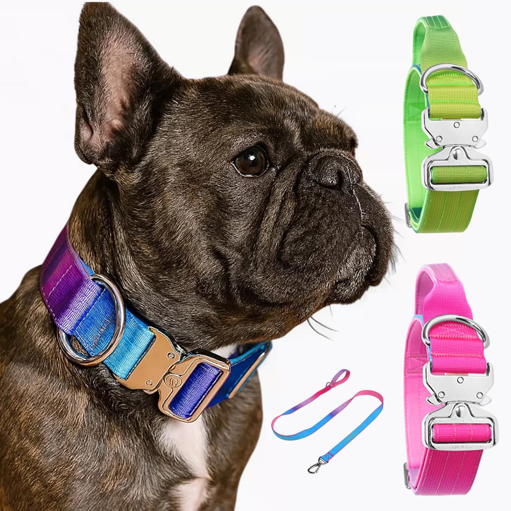Conjunto De Coleira E Trela Para Animais De Estimação , Fivela De Metal , Buldogue Francês , Resistente , Durável , Cães