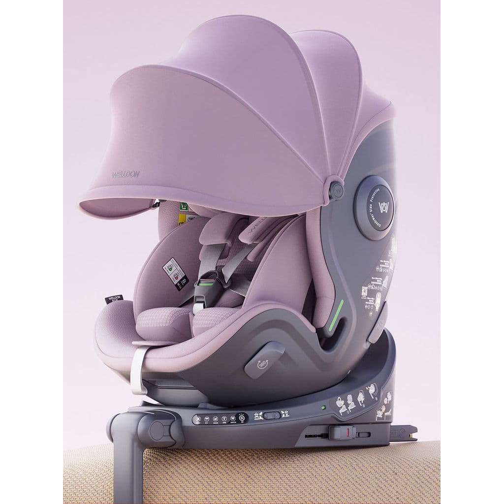 Welldon welldon Cocoon Love 3 Estrutura dividida Bebê Carro Cesta de assento de segurança infantil Ventilação inteligent