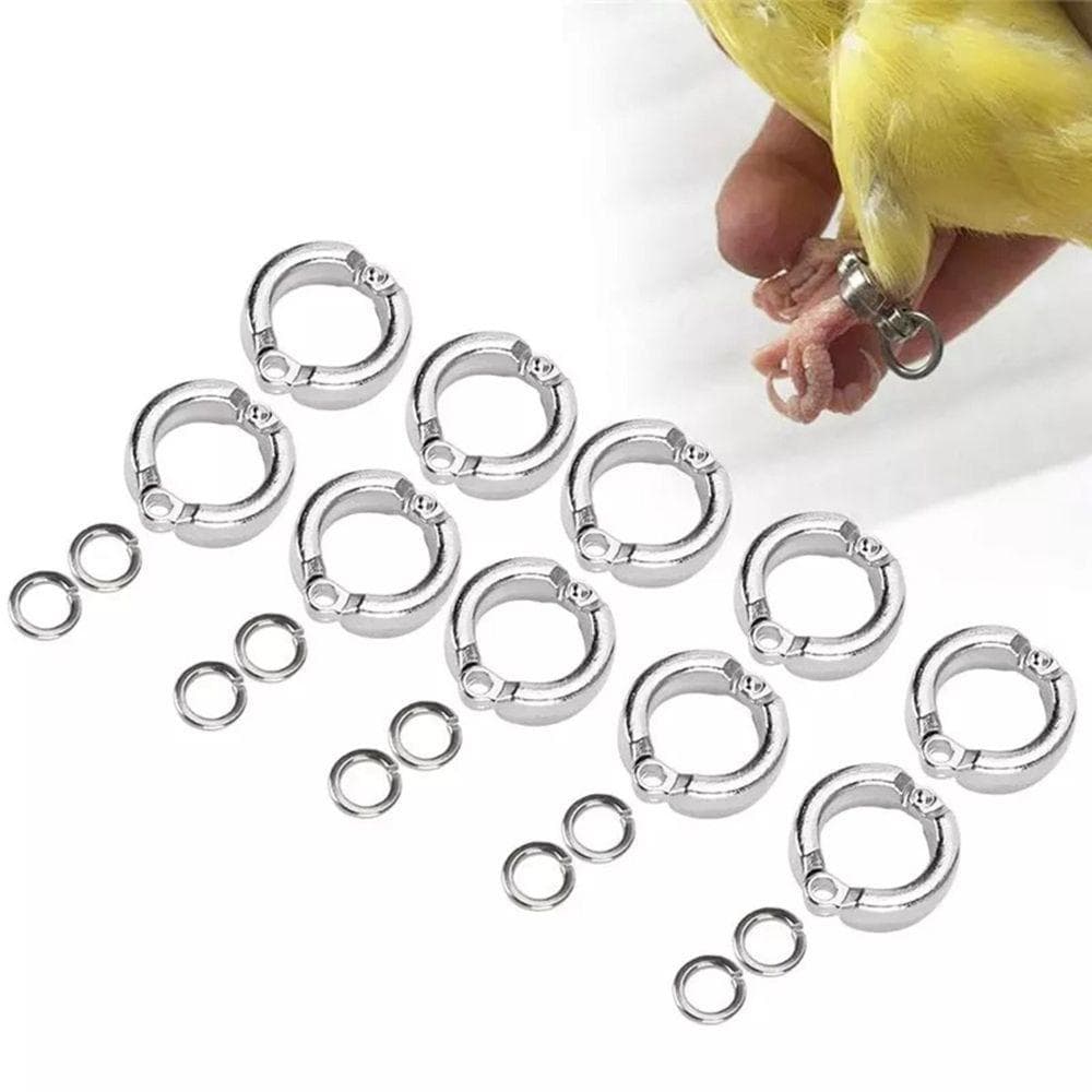 Anéis Para Pés De Papagaio Ao Ar Livre , Metal Com Mosca Clipe De Pombo , Atividade De Treinamento , Supriment