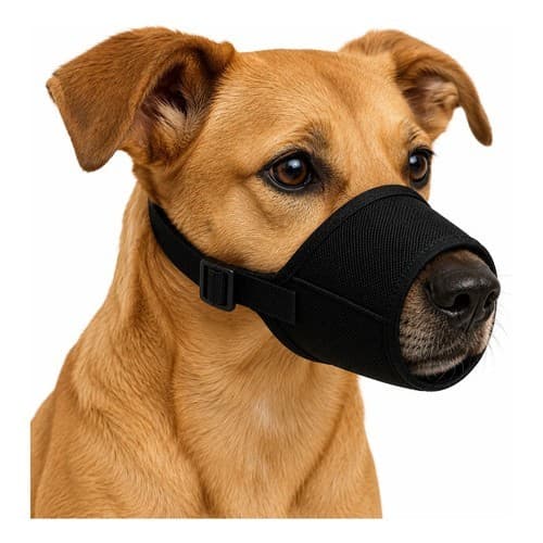 Focinheira Nylon Ajustável Cães Pequenos N-5 Não Machuca Pre Preta M Médio N 5 Oferta