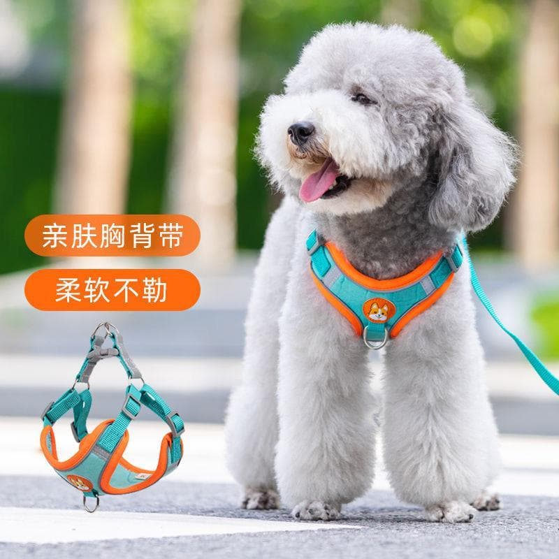 Coleira para cães pequenos, coleira de pelúcia para cães, Bichon, pomerânia, cinta peitoral, filhotes, cachorro, coleira