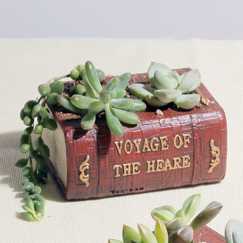 Zakka criativo Retro livro literário planta suculenta pequeno vaso de flores único planta verde recipiente flor vaso pla