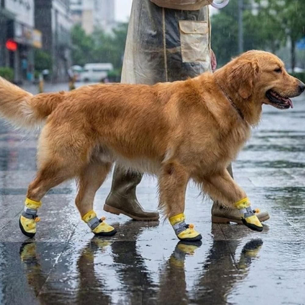 INTREE 4 Peças De Sapatos Para Animais De Estimação Com Padrão De Frutas , Protetor Ajustável À Prova D'água Cães , Capa