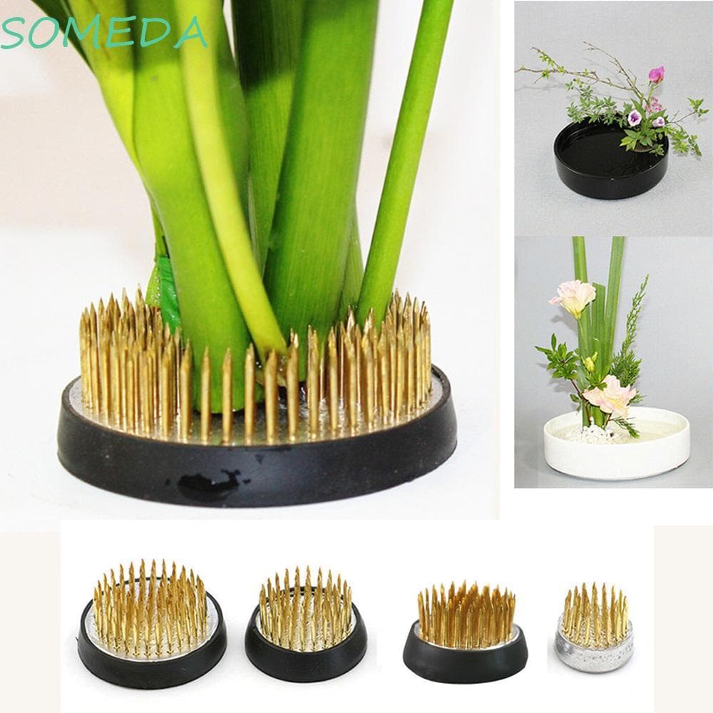 Alguma Flor Sapo Kenzan Floricultura Agulha Redonda Arte Ferramenta Fixa